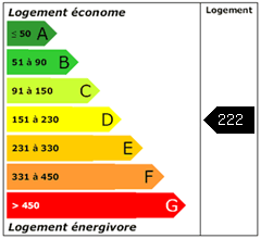 Consomation énergie : 222